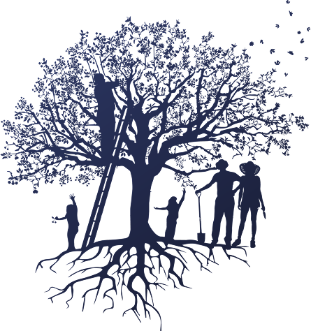 Kirschbaum Illustration