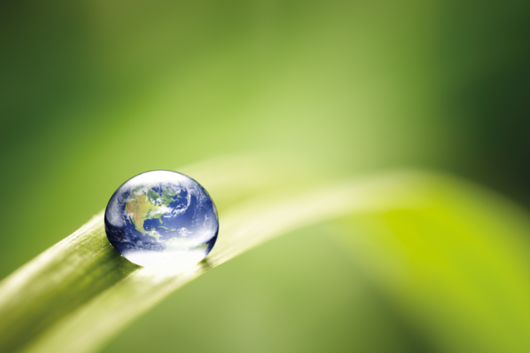 Blatt Tropfen Welt Org