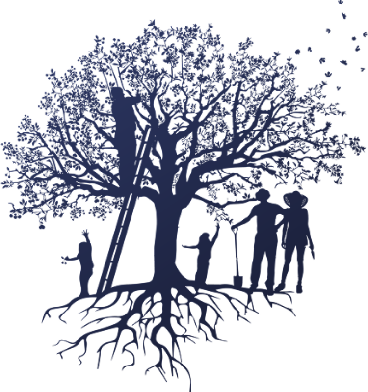 Kirschbaum Illustration