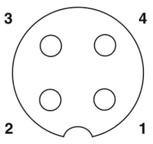 0008469 Polbild Buchse