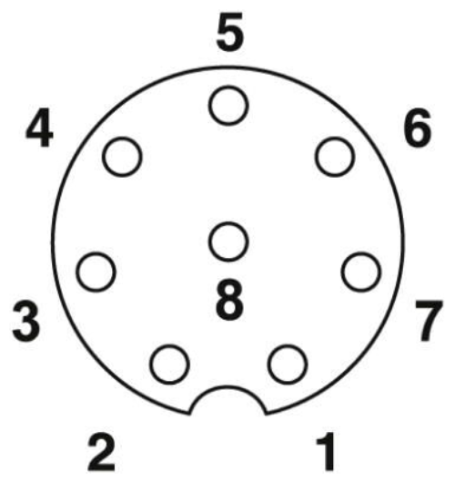 Schema Polbild Buchse M12 8 polig